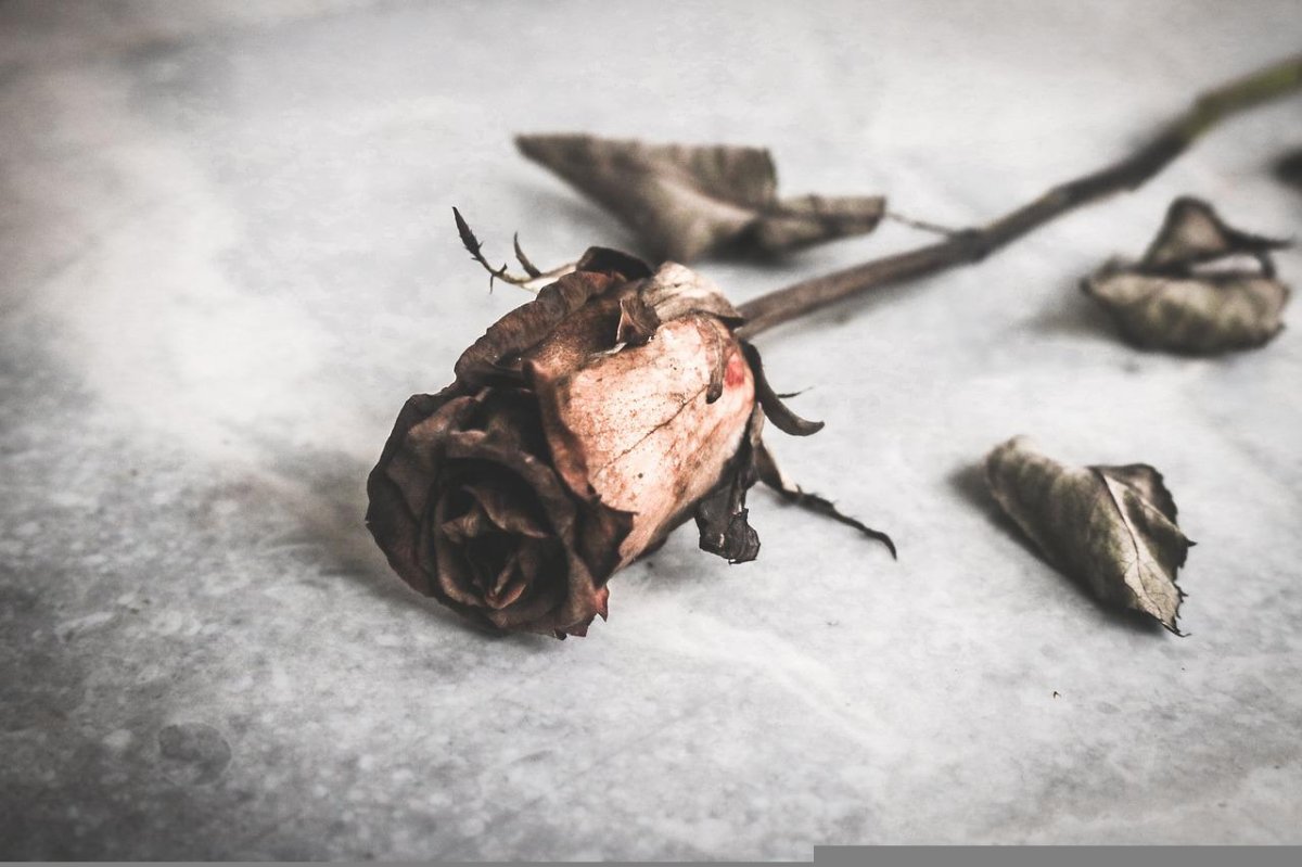 To All the Young (Band)